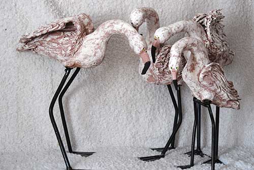 Flamants roses
